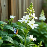 tanaman hias bunga putih