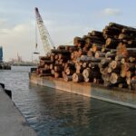 Satgas PKH Bongkar Pembalakan Liar di Mentawai, Negara Rugi Rp240 Miliar!