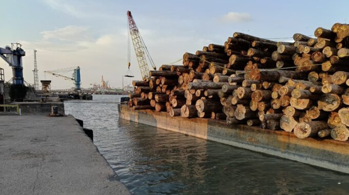 Satgas PKH Bongkar Pembalakan Liar di Mentawai, Negara Rugi Rp240 Miliar!