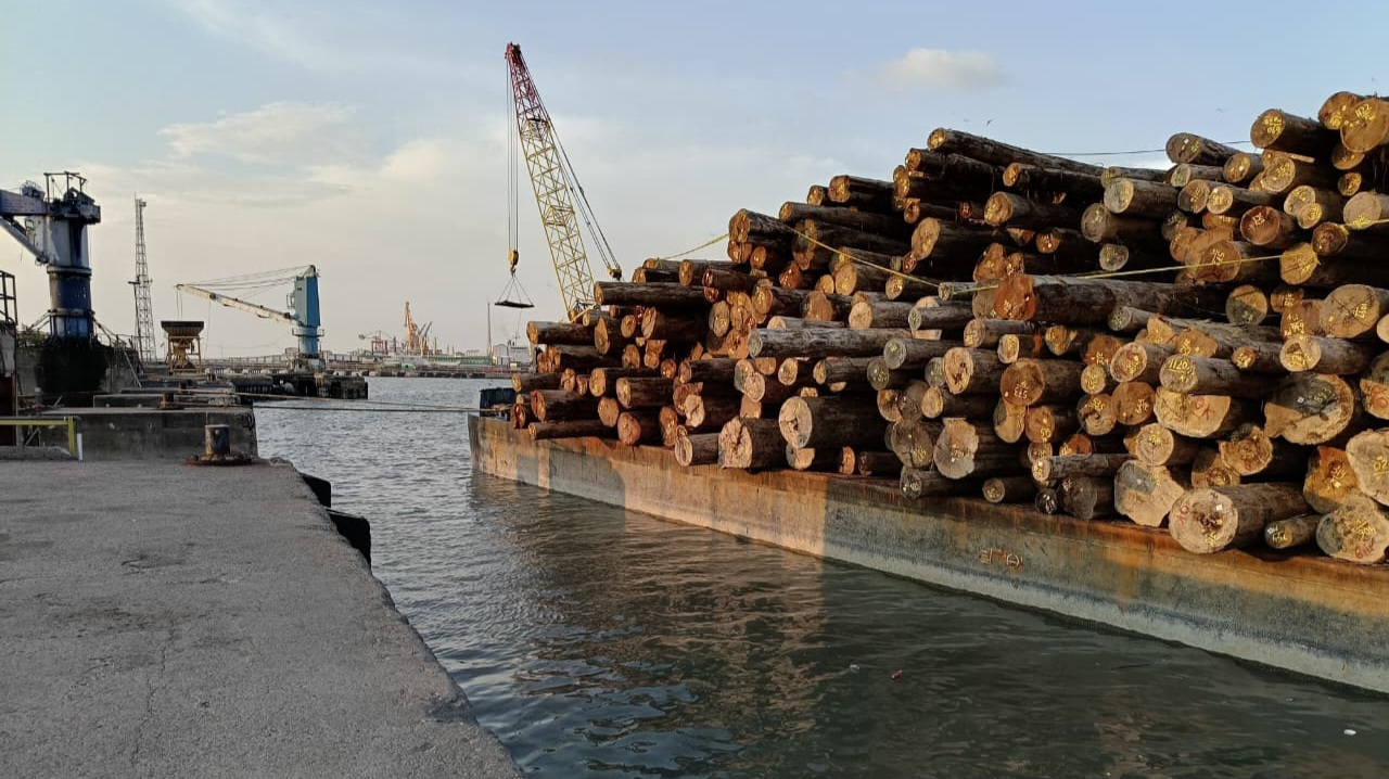 Satgas PKH Bongkar Pembalakan Liar di Mentawai, Negara Rugi Rp240 Miliar!