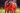 Bayern vs Club Brugge