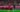 Dayot Upamecano