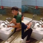 Makanan Bergizi Gratis