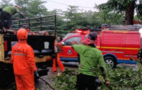 Hujan deras dan angin kencang membuat sejumlah pohon di Jakarta Timur tumbang. Foto: BPBD Jaktim