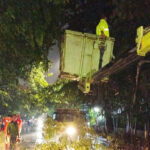 Sudin Tamhut lakukan penanganan pohon tumbang. Foto: beritajakarta