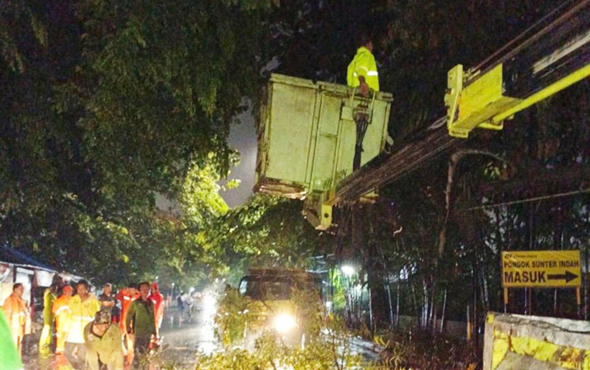 Sudin Tamhut lakukan penanganan pohon tumbang. Foto: beritajakarta