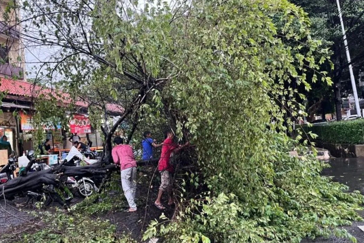 Pohon tumbang tewaskan warga DKI
