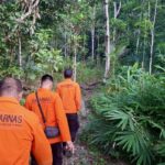 Tim SAR melakukan penyisiran lokasi balita hilang di hutan Kalimantan Selatan.