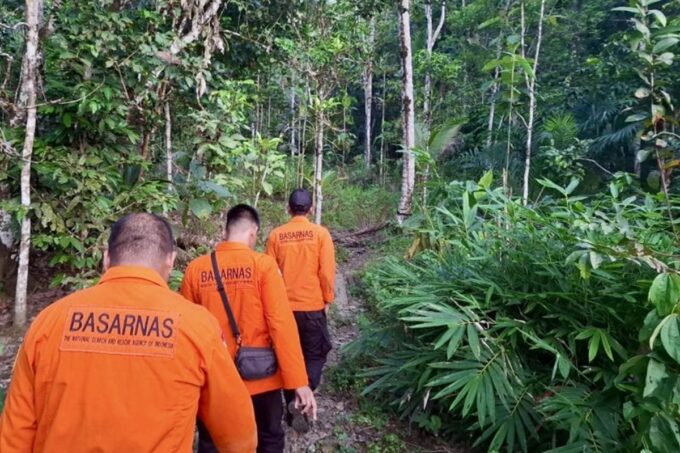 Tim SAR melakukan penyisiran lokasi balita hilang di hutan Kalimantan Selatan.