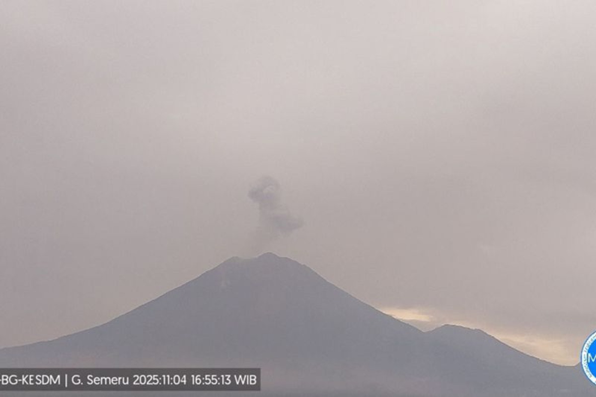 Gunung semeru kembali erupsi dengan ketinggian letusan mencapai 800 meter. Foto: PVMBG