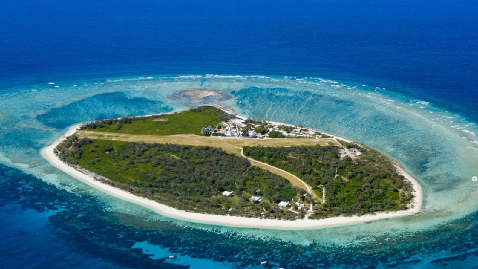 Lady Elliot Island