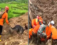 Operasi SAR Banjarnegara diperpanjang