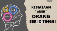 Orang Ber-IQ Tinggi Justru Melakukan 11 Kebiasaan Ini Tiap Hari