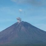 Gunung Semeru 8 kali erupsi dengan ketinggian letusan mencapai 1 km. Foto: PVMBG