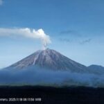 Gunung Semeru kembali erupsi dengan tinggi letusan 800 meter. Foto: PVMBG