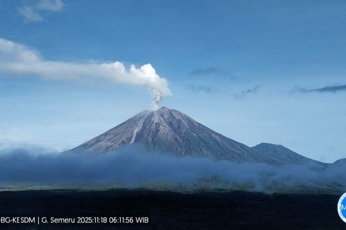Gunung Semeru kembali erupsi dengan tinggi letusan 800 meter. Foto: PVMBG