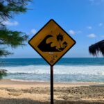 Hari Kesadaran Tsunami 2025