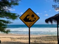 Hari Kesadaran Tsunami 2025