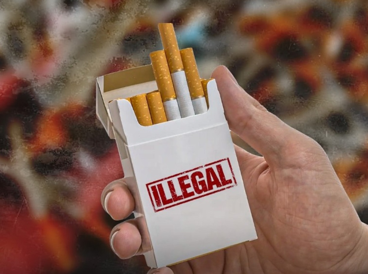  Rokok Ilegal DIAJAK LEGAL