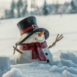 Indonesia Tidak Turun Salju