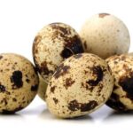 Presiden Prabowo perintahkan telur ayam di menu MBG diganti telur puyuh.