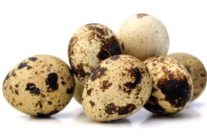 Presiden Prabowo perintahkan telur ayam di menu MBG diganti telur puyuh.