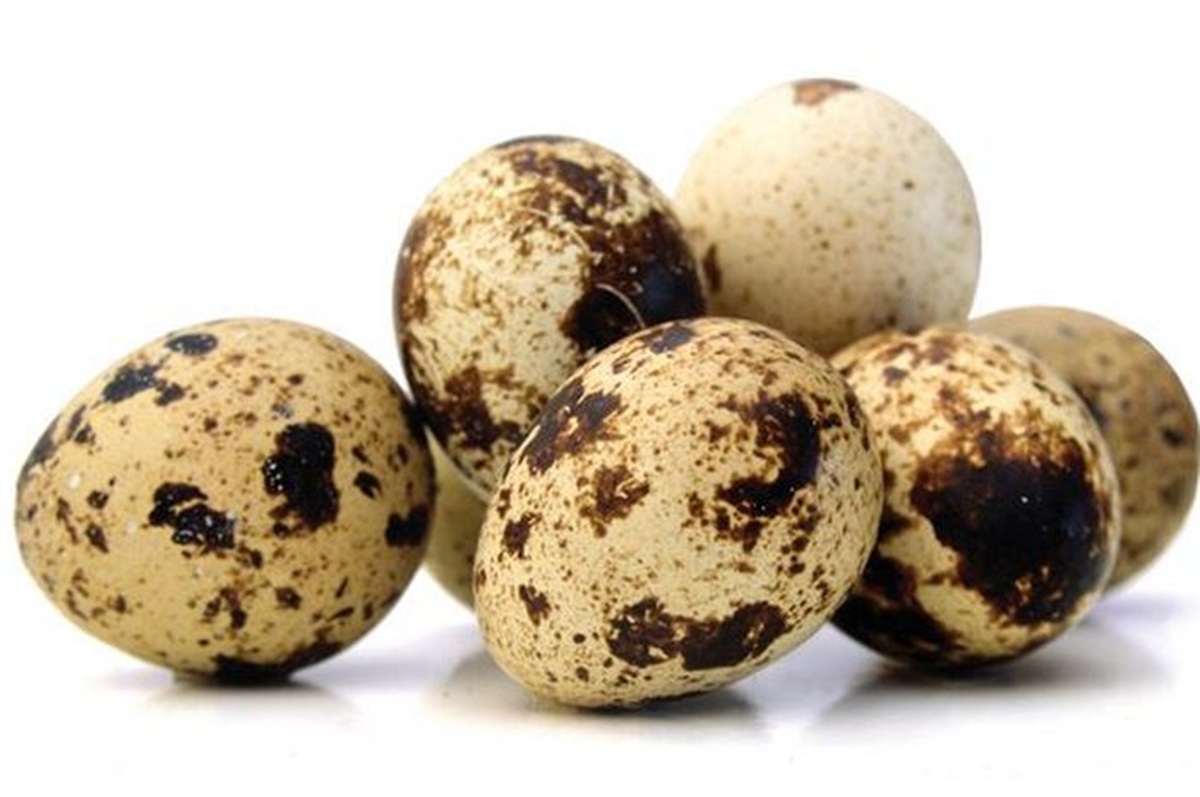 Presiden Prabowo perintahkan telur ayam di menu MBG diganti telur puyuh.