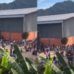 Video penjarahan bulog