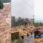 Illegal Logging Sumut