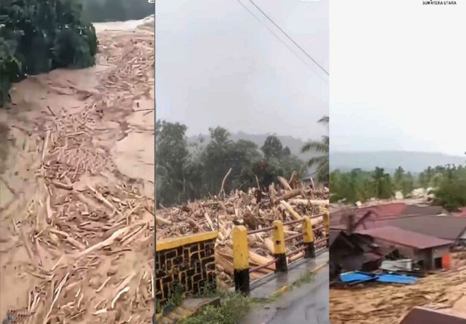 Illegal Logging Sumut