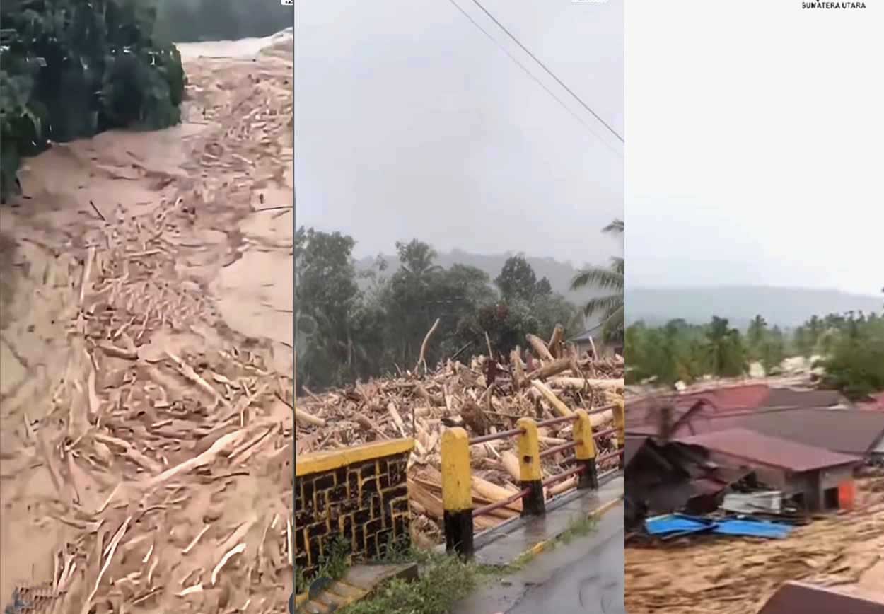 Illegal Logging Sumut