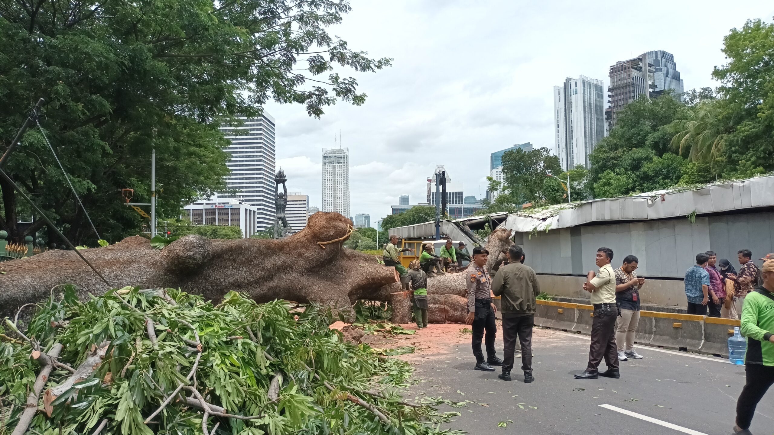 Pohon tumbang
