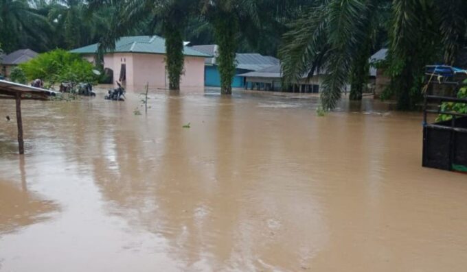 BANJIR BANDANG TAPSEL! Akibat Penebangan Hutan, Bupati Sudah Surati Kemenhut Minta Izin Dicabut, Tapi…
