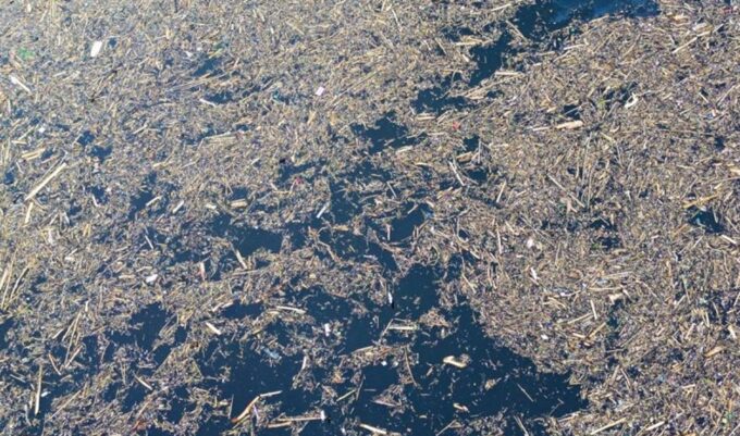 BARESKRIM TURUN TANGAN, Selidiki Asal Kayu Gelondongan di Banjir Sumatera