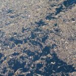 Biaya Bangun Sumatera Lagi Habiskan Rp 50 Triliun