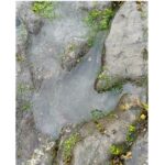 jejak dinosaurus tertua