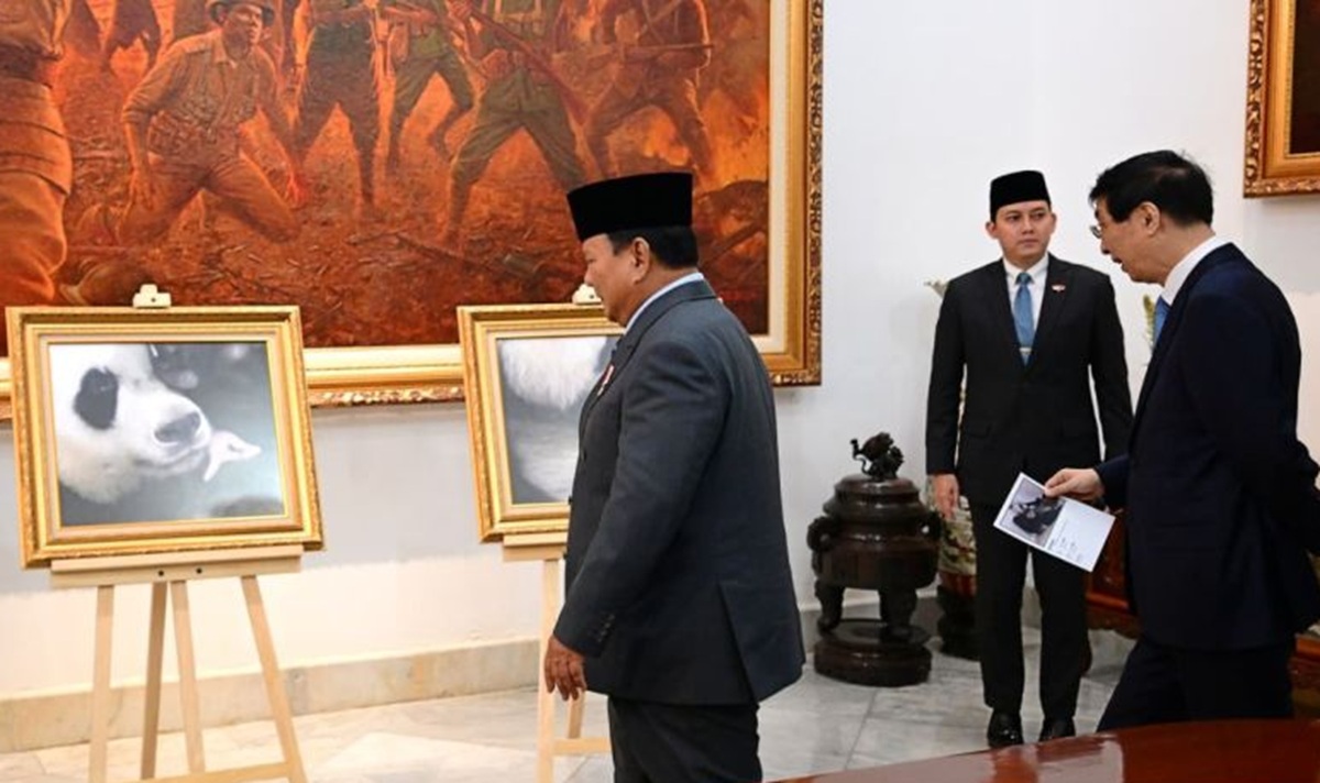 Presiden Prabowo memperkenalkan bayi panda pertama yang baru saja lahir di TSI.