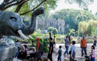 Taman Margasatwa Ragunan perpanjang jam operasional selama libur Nataru.