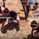 Korban Bencana Mengais Beras