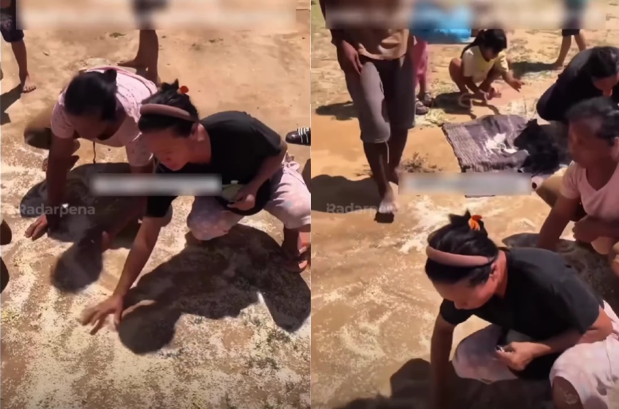 Korban Bencana Mengais Beras