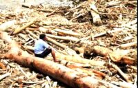 Bareskrim Kayu Gelondongan Tapanuli