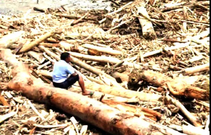 Bareskrim Kayu Gelondongan Tapanuli