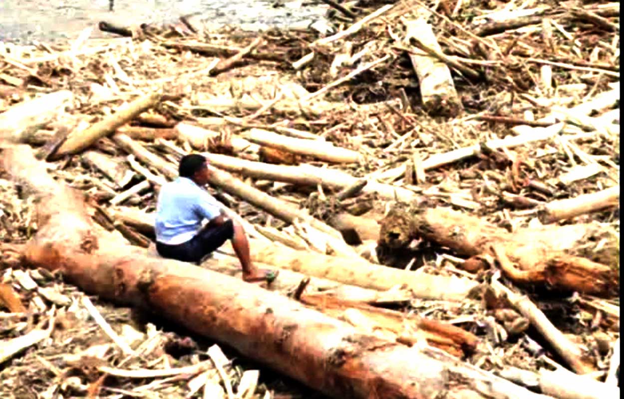 Bareskrim Kayu Gelondongan Tapanuli