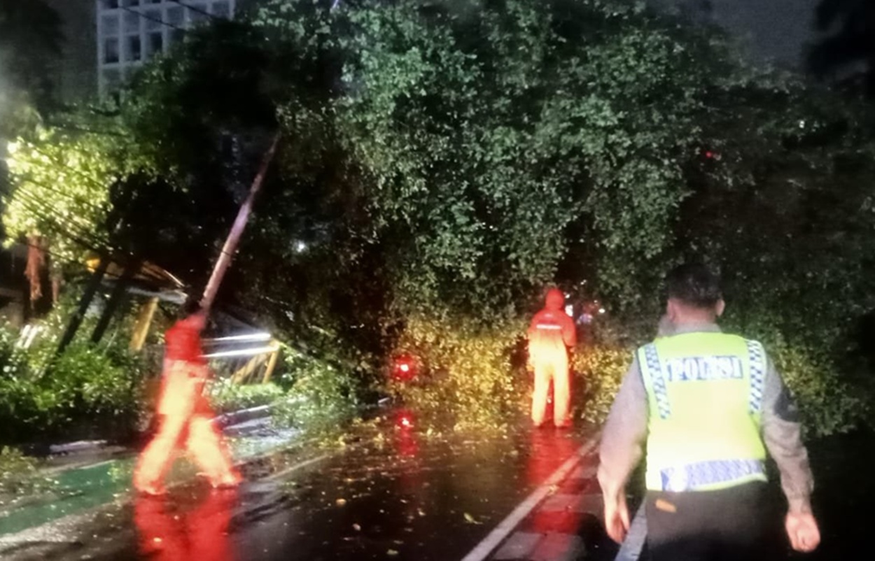 pohon tumbang Jakarta