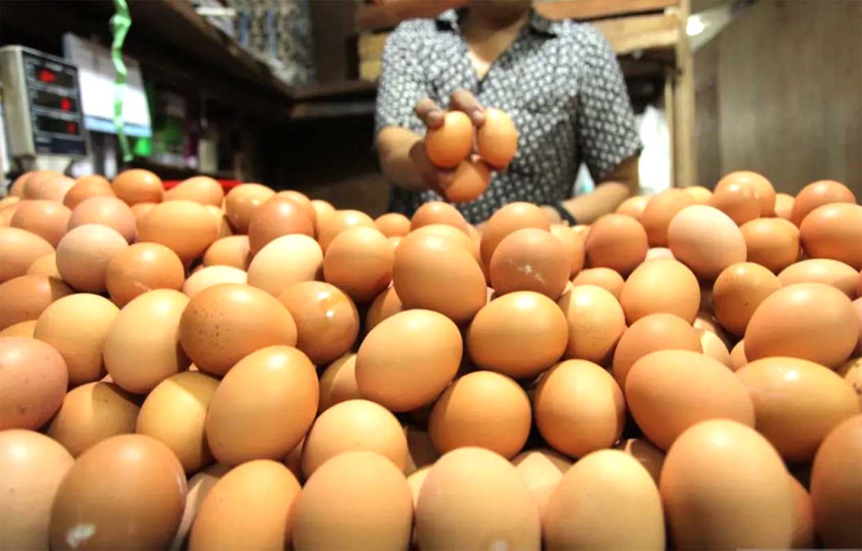 Lonjakan harga Natal