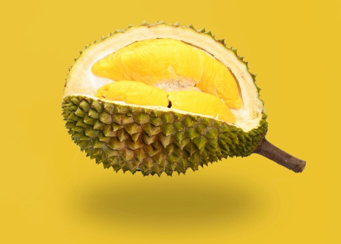 Kandungan nutrisi buah durian