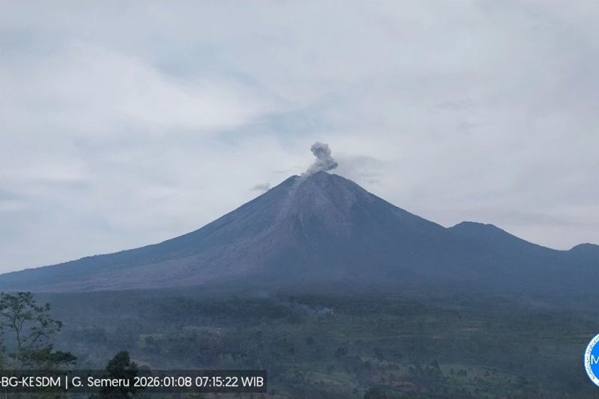 Gunung Semeru kembali erupsi, lontarkan material setinggi 700 meter.
