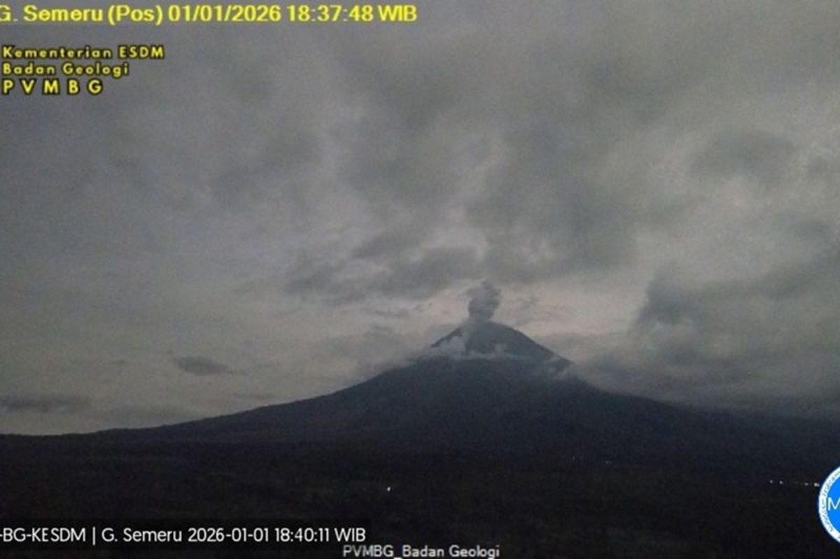 Gunung Semeru erupsi di awal tahun 2026.