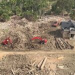 Gelondongan kayu banjir bandang di Sumatra dimanfaatkan untuk pembangunan huntara.