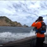 Pencarian Pelatih Valencia CF